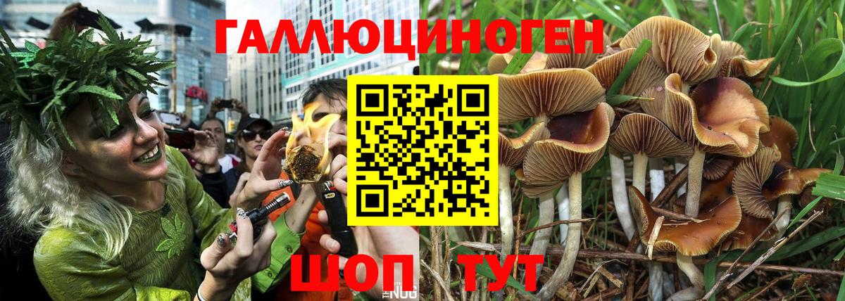 Псилоцибиновые грибы прущие грибы  где купить наркотик  Гай  Вход с VPN  Галлюциногенные грибы GOLDEN TEACHER 
