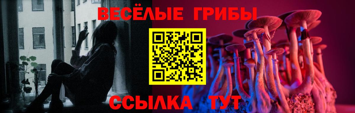 Псилоцибиновые грибы GOLDEN TEACHER Гай